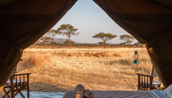 10 Days Best Of Tanzania Southern Circuit Safari