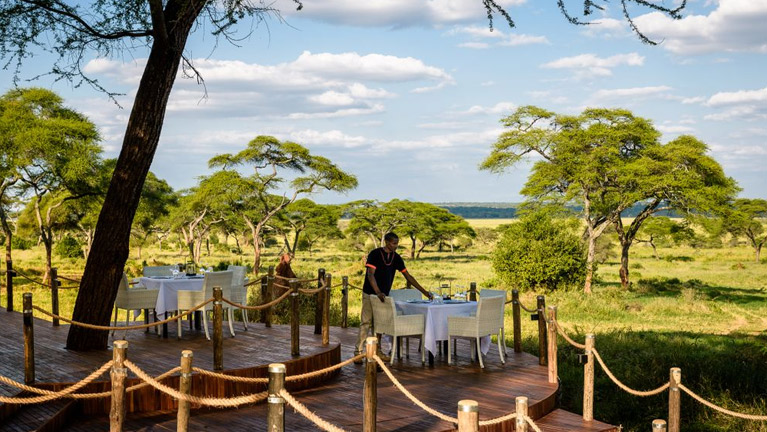 10 Days Best Of Tanzania Southern Circuit Safari