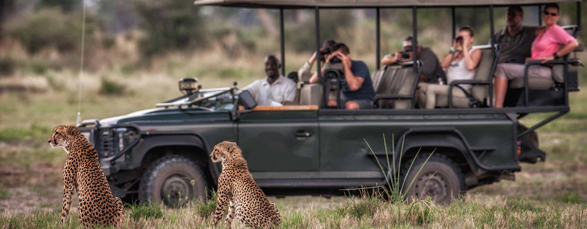 11 Days  Standard Wildlife Adventure Safari