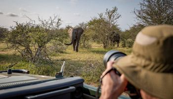 11 Days  Standard Wildlife Adventure Safari