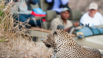 5 Days Africa Eye Catch Wildlife Safaris