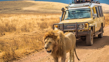 5days Tanzania Safari To Mikumi And Nyerere