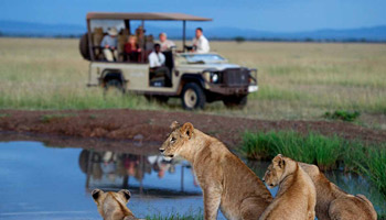 5days Tanzania Safari To Mikumi And Nyerere