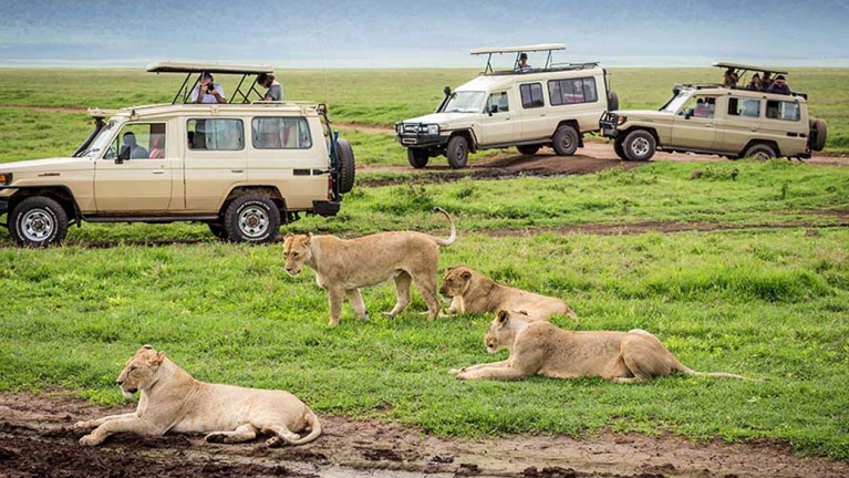 5days Tanzania Safari To Mikumi And Nyerere