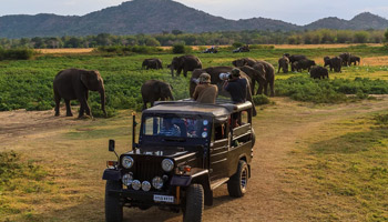 7 Days Tanzania Western Safari to Mahale and Gombe