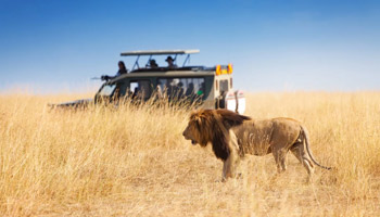 7 Days Tanzania Safari To Mikumi And Nyerere