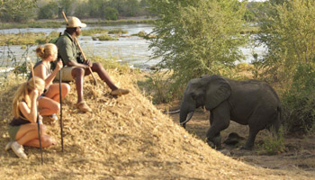 7 Days Tanzania Family Safari