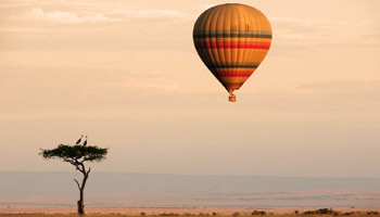 9 Days Tanzania Special Wildebeests Migration & Hot Air Balloon Safari