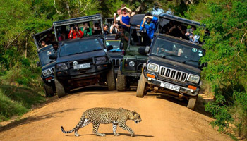 9 Days - Tanzania Wildlife & Cultural Dream Safaris