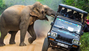 9 Days - Tanzania Wildlife & Cultural Dream Safaris