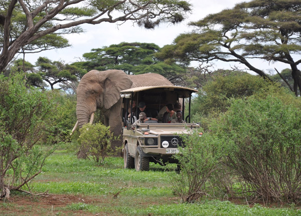Arusha National Park