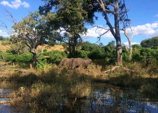 Arusha National Park