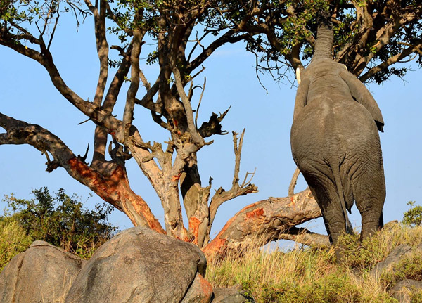 Arusha National Park