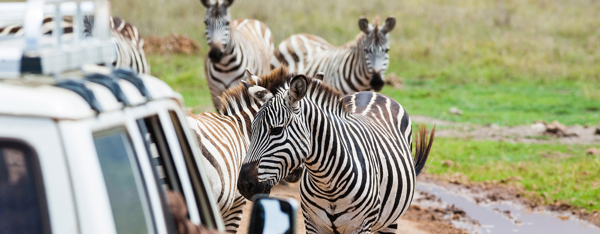 Best Time For Tanzania