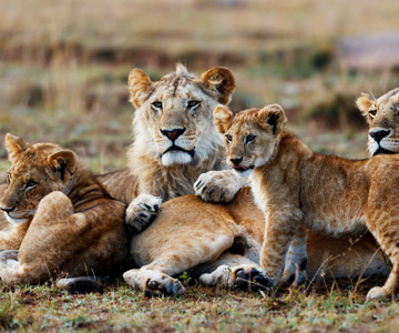 Tanzania Eastern  Circuit