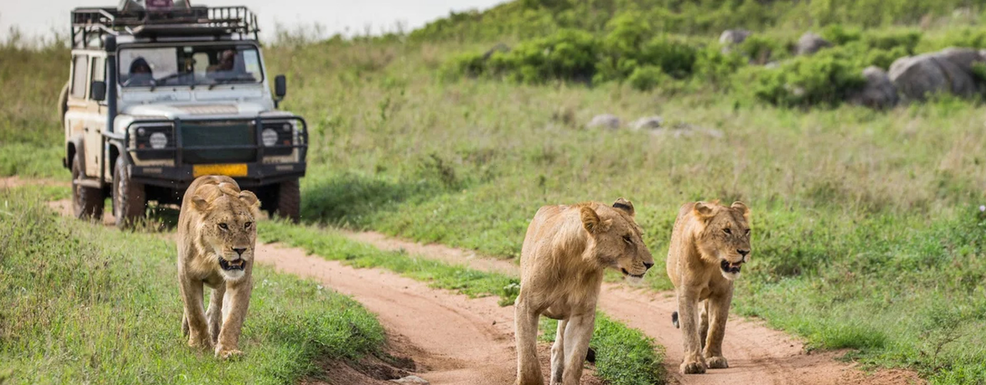 Getting There To Tanzania