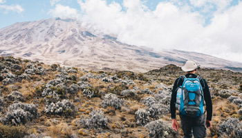 Kilimanjaro Day Trip