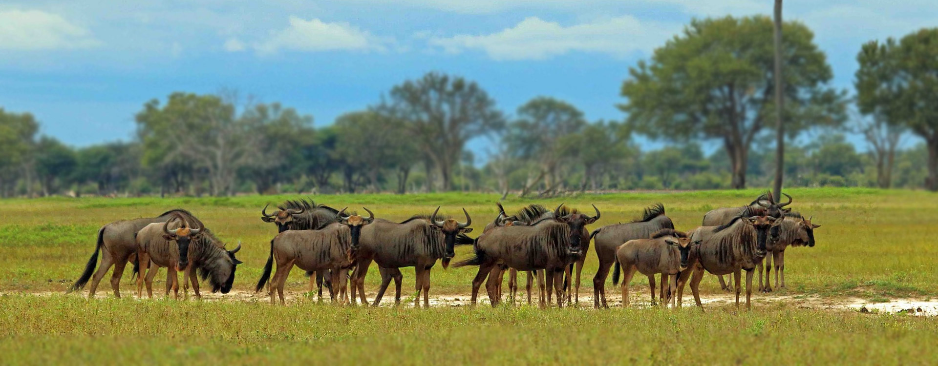 Kitulo National Park