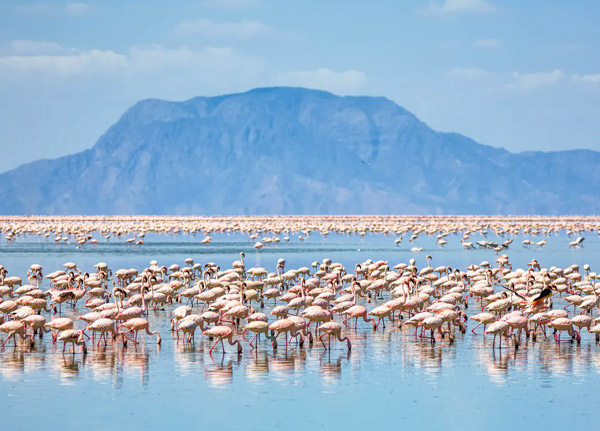 Lake Manyara National park