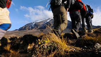 5 Days Marangu Route