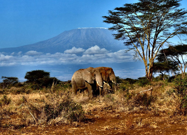 Mount Kilimanjaro National Park