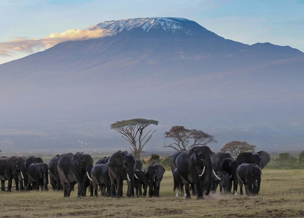Mount Kilimanjaro National Park