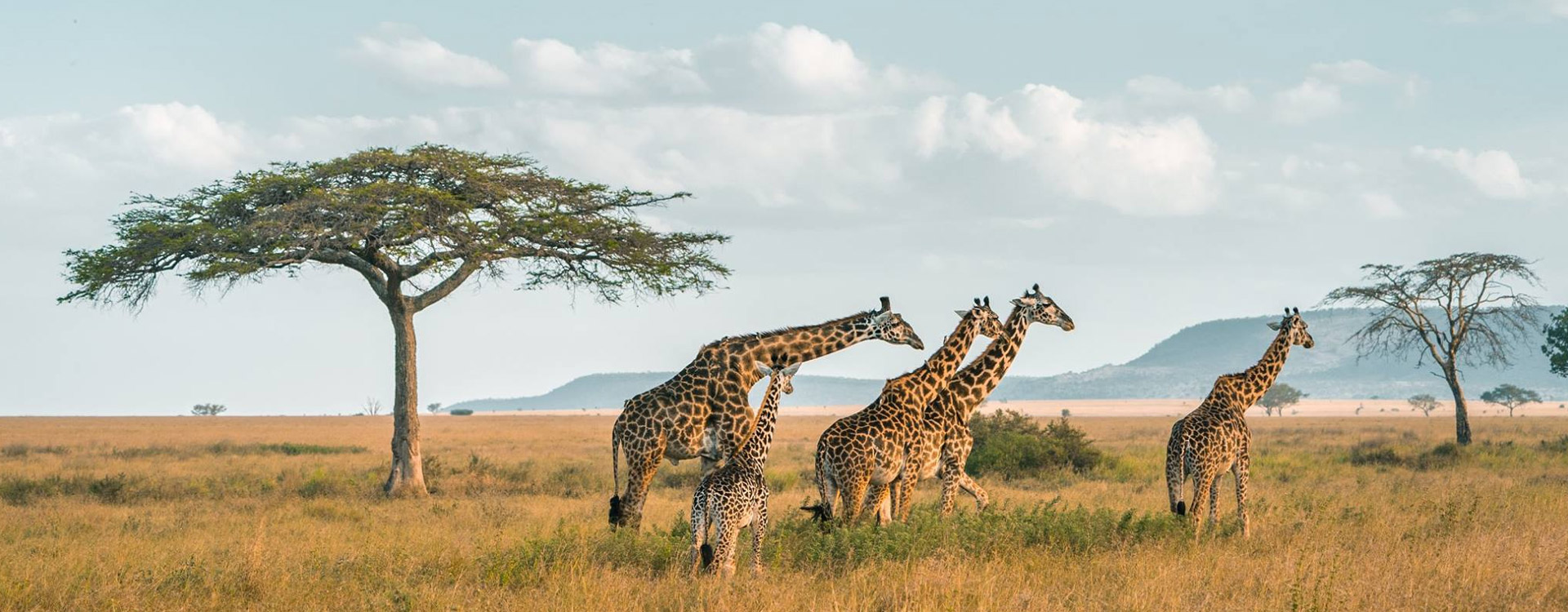 Tanzania Southern Circuit