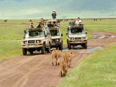 5 Days Africa Eye Catch Wildlife Safaris