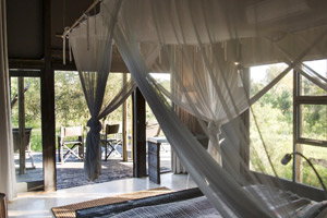 Ruaha River Lodge