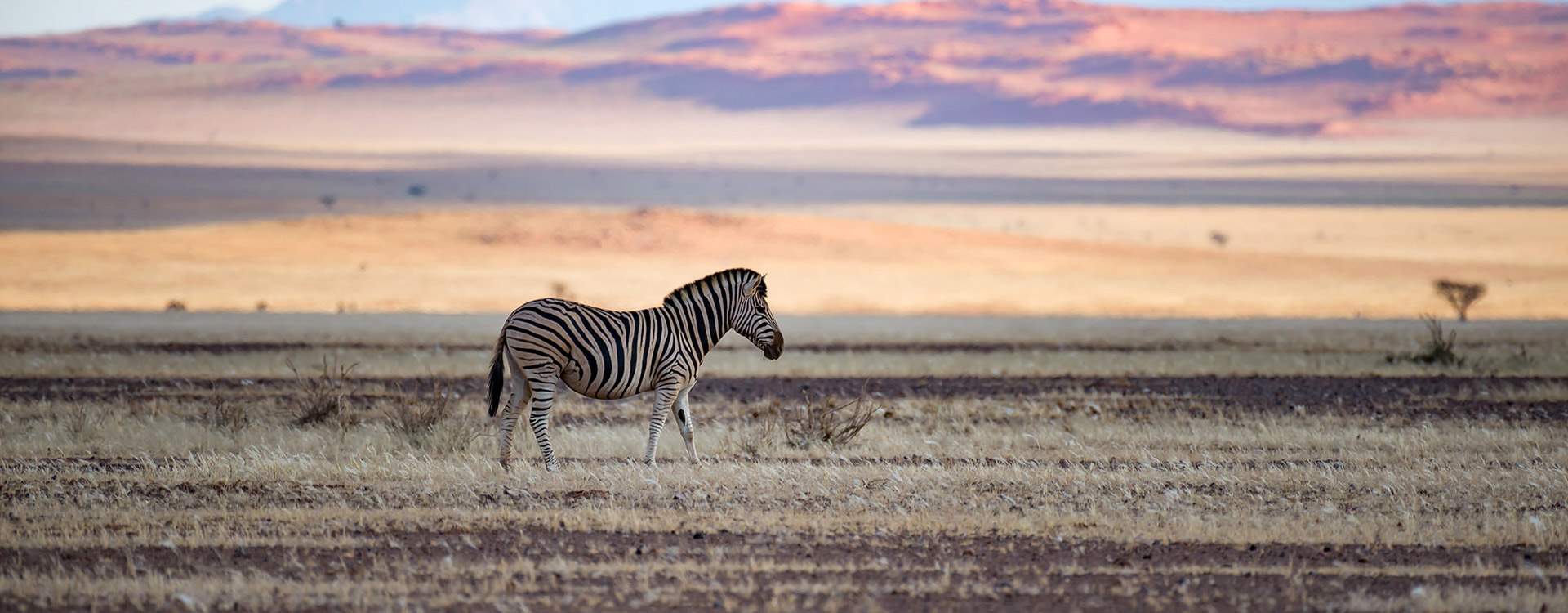 Western Tanzania Safari